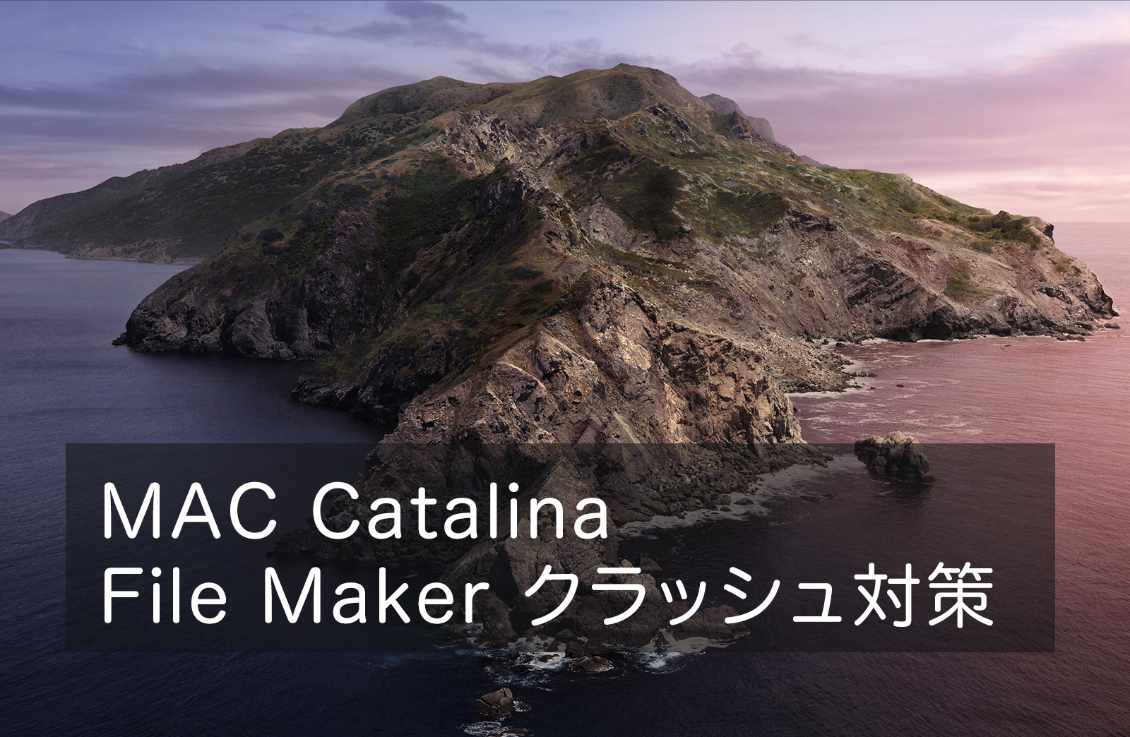 MAC Catalina FileMaker Pro 16 Advancedクラッシュ対策