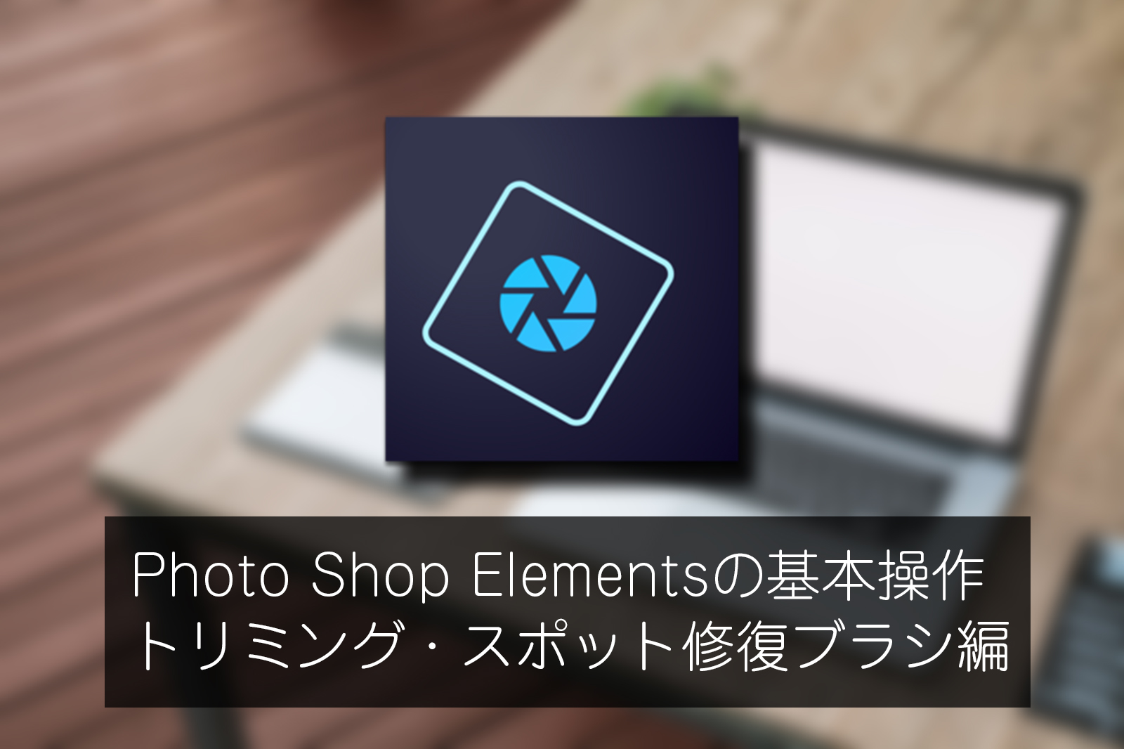 Photoshop Elements トリミングやスポット修復ブラシの使い方