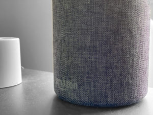【Amazon Echo/アレクサ】の面白い回答と猫が反応した言葉